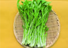 みず菜